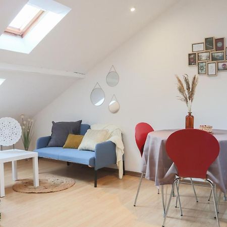 Apartmán Le Petit Loft, Mulhouse Centre Exteriér fotografie