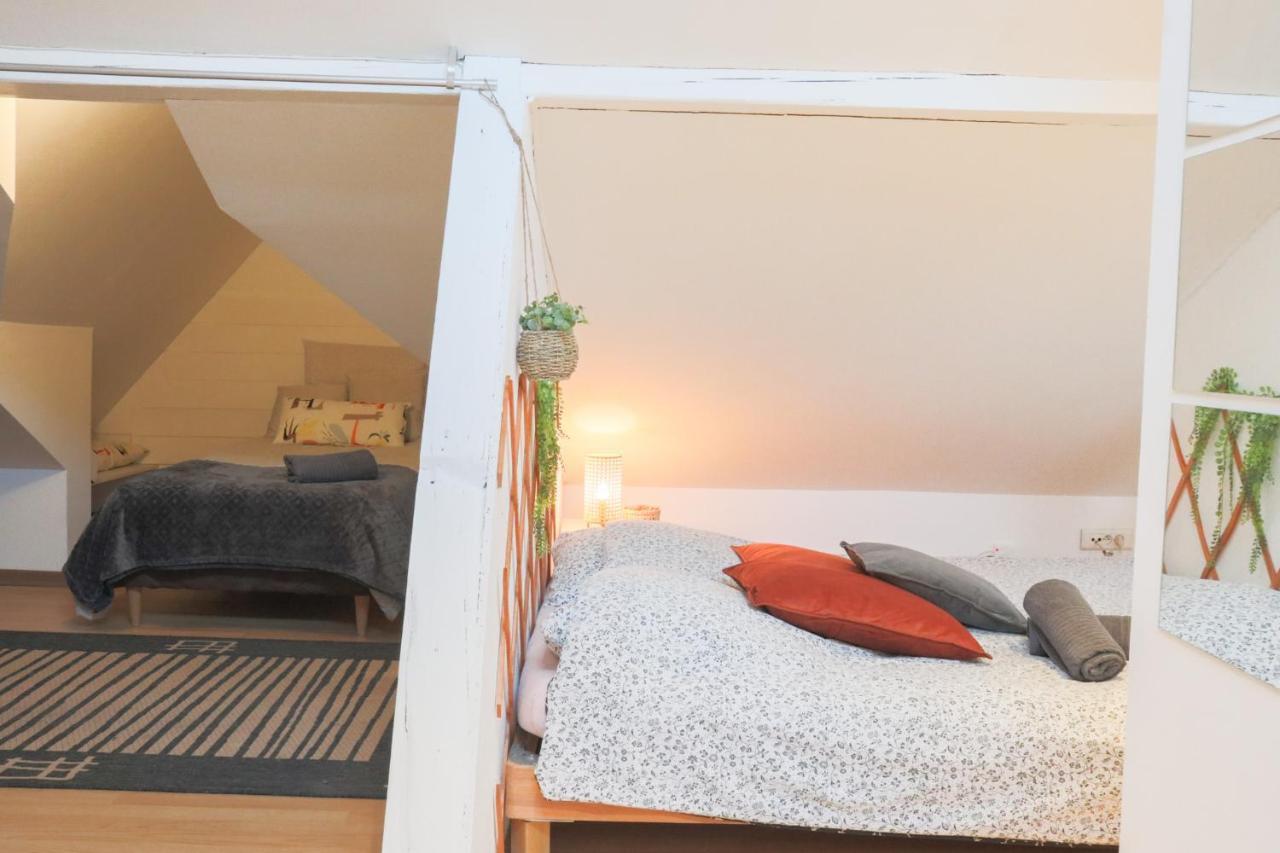 Apartmán Le Petit Loft, Mulhouse Centre Exteriér fotografie
