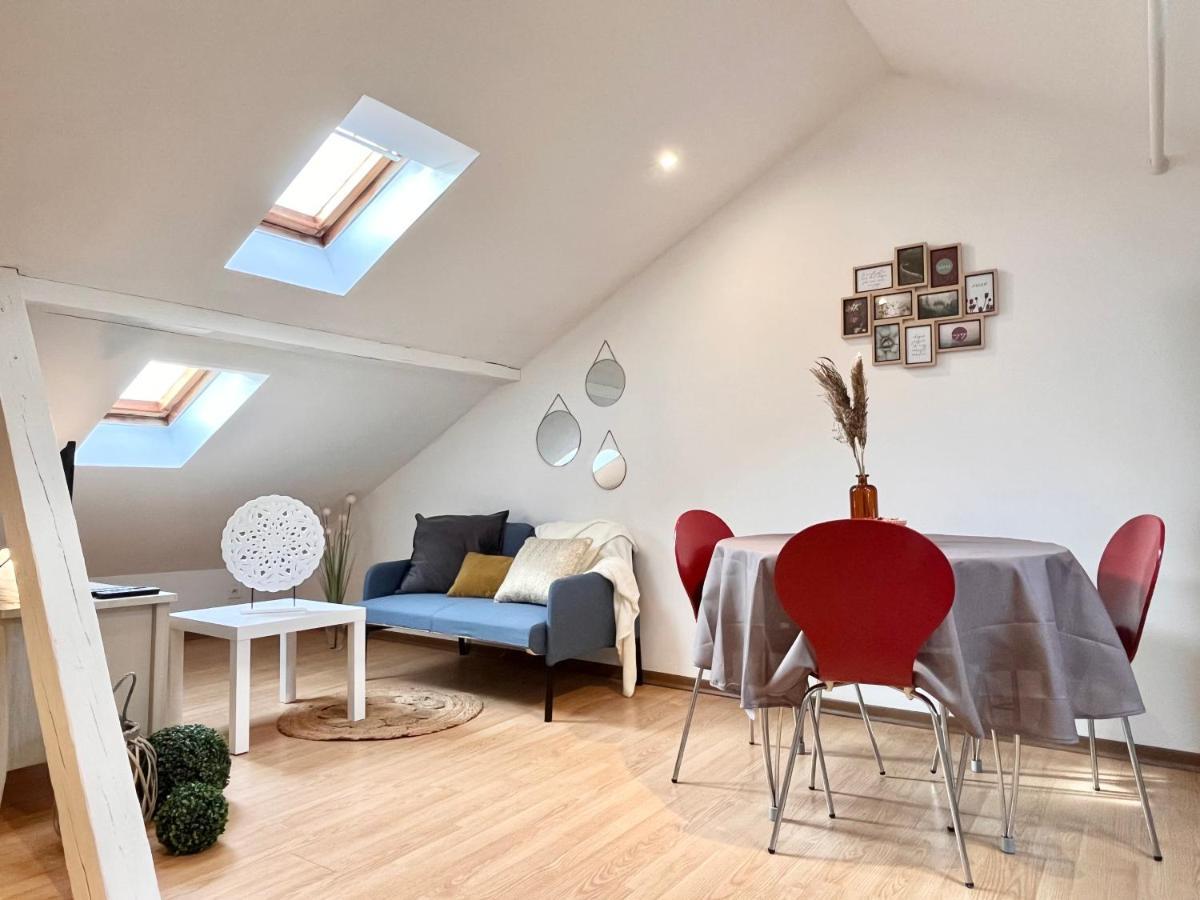 Apartmán Le Petit Loft, Mulhouse Centre Exteriér fotografie