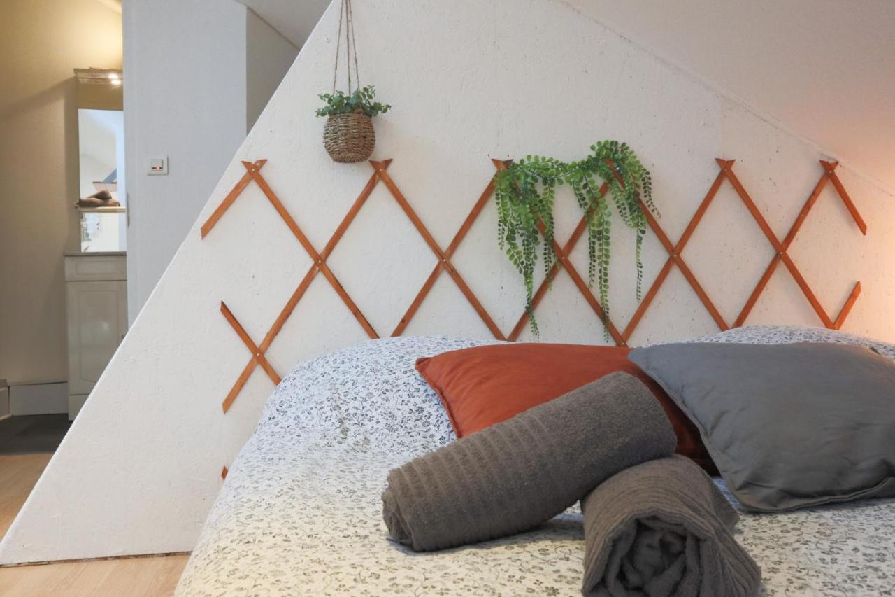Apartmán Le Petit Loft, Mulhouse Centre Exteriér fotografie