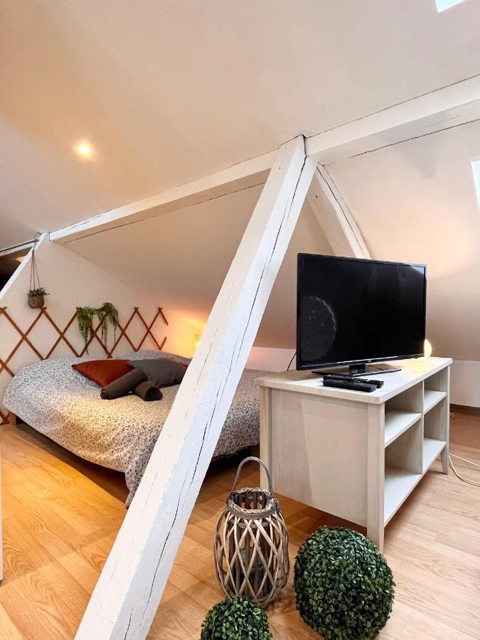 Apartmán Le Petit Loft, Mulhouse Centre Exteriér fotografie